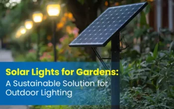 solar lights for garden